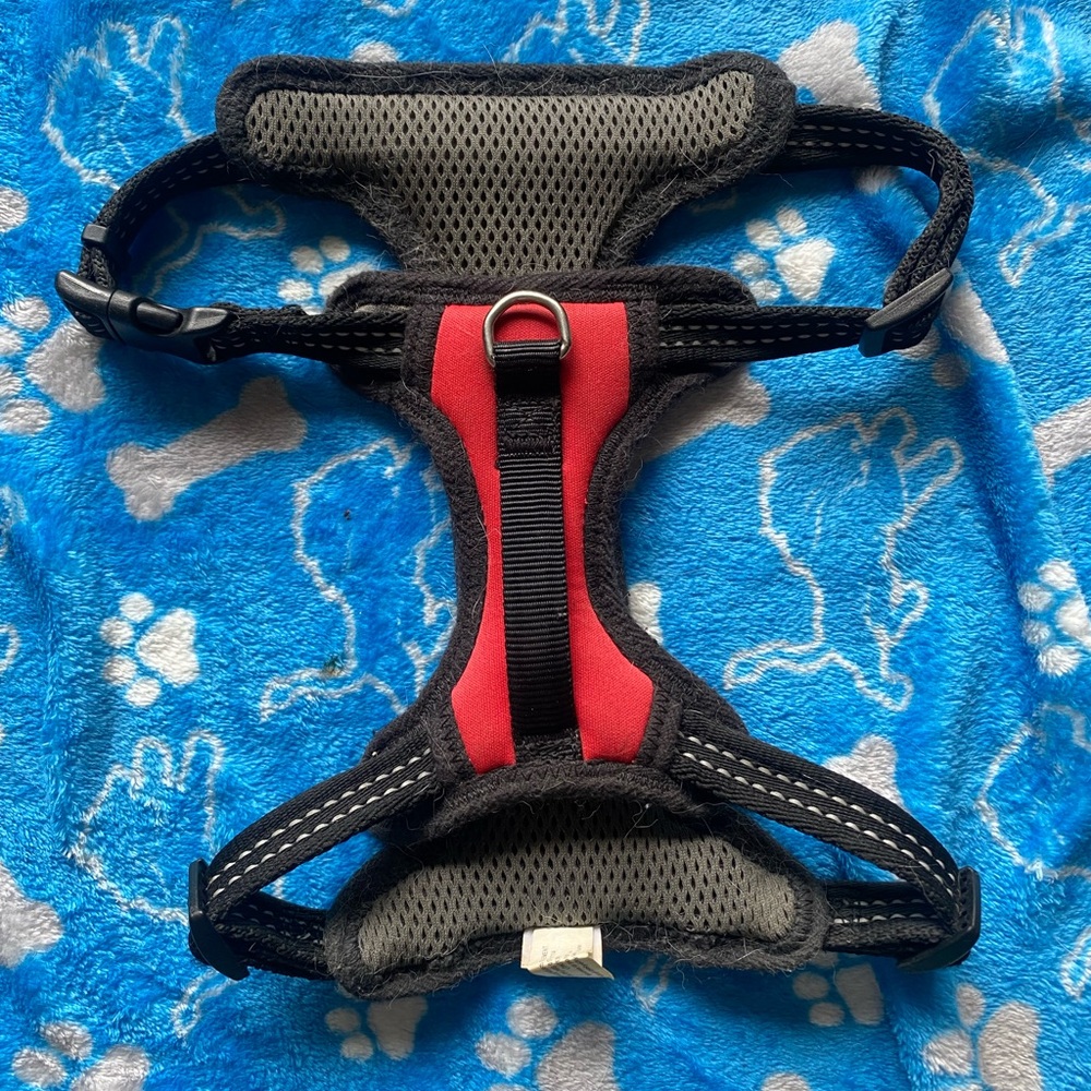 Size Medium Harness
